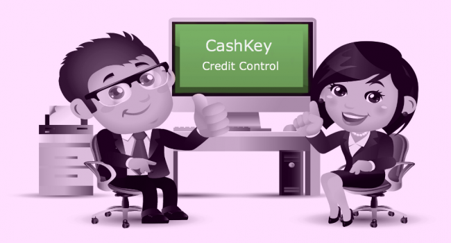 CashKey MKB Support Desk